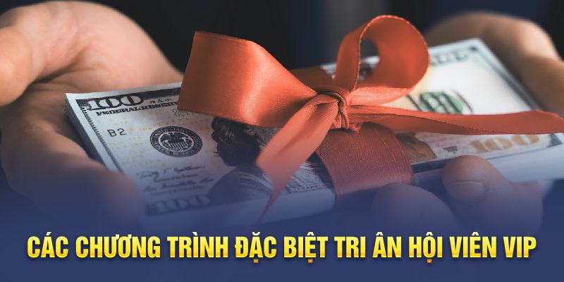 Các chương trình đặc biệt tri ân hội viên VIP